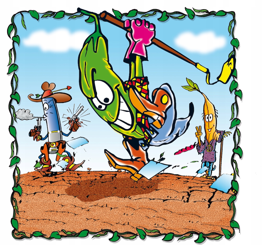 Zawartość opakowania – co znajdziesz w zestawie?