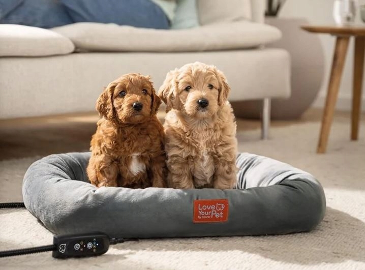 Komfortowe ciepło dla psów i kotów