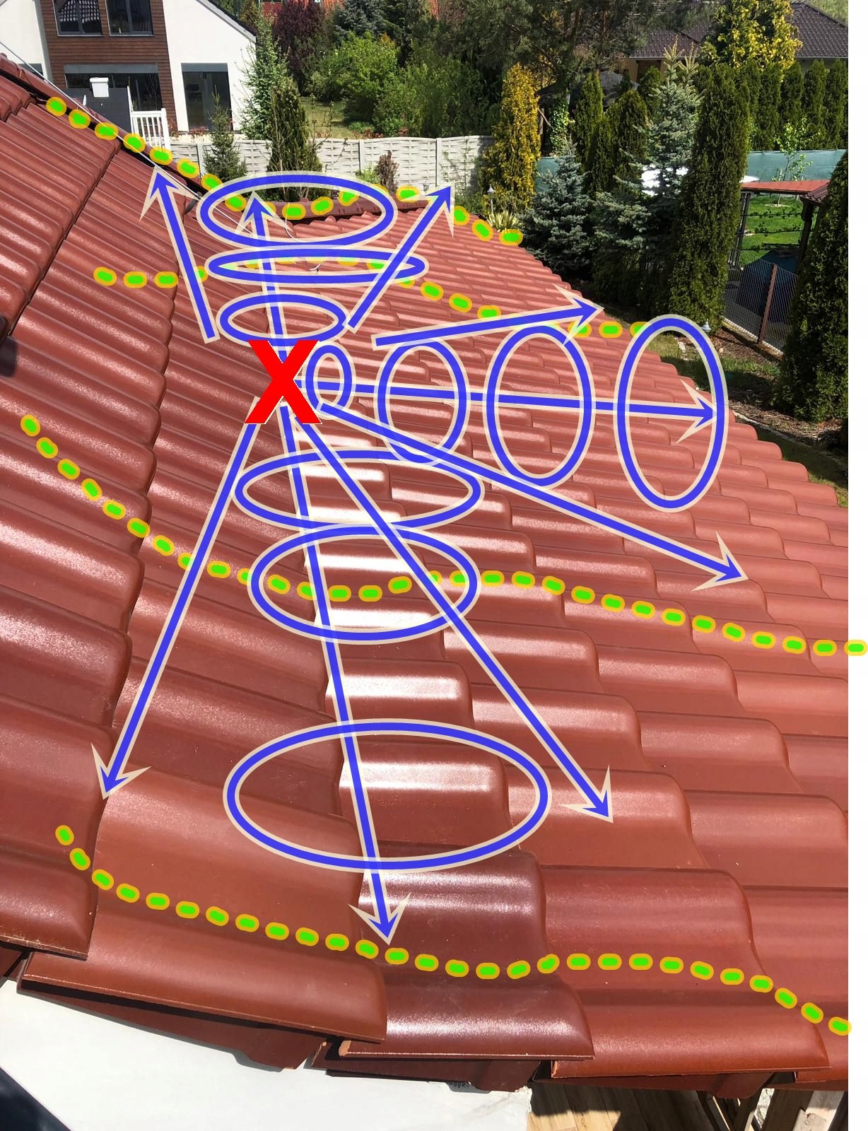 Ultradźwięki – Skuteczna metoda odstraszania gryzoni