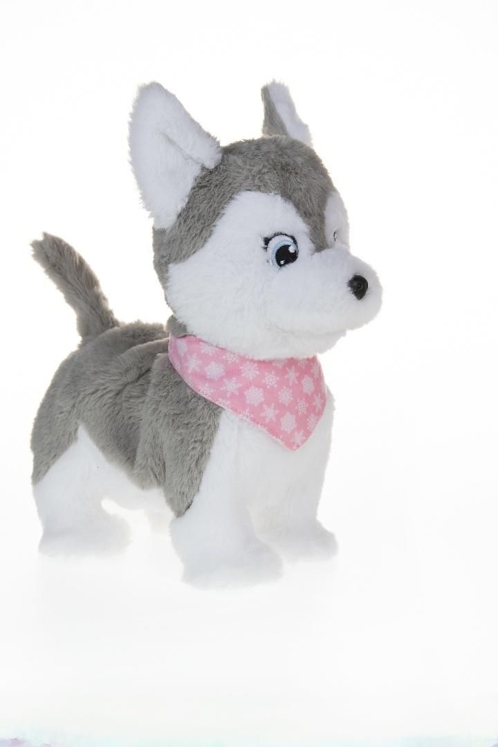 Kolorowy design i atrakcyjny wygląd