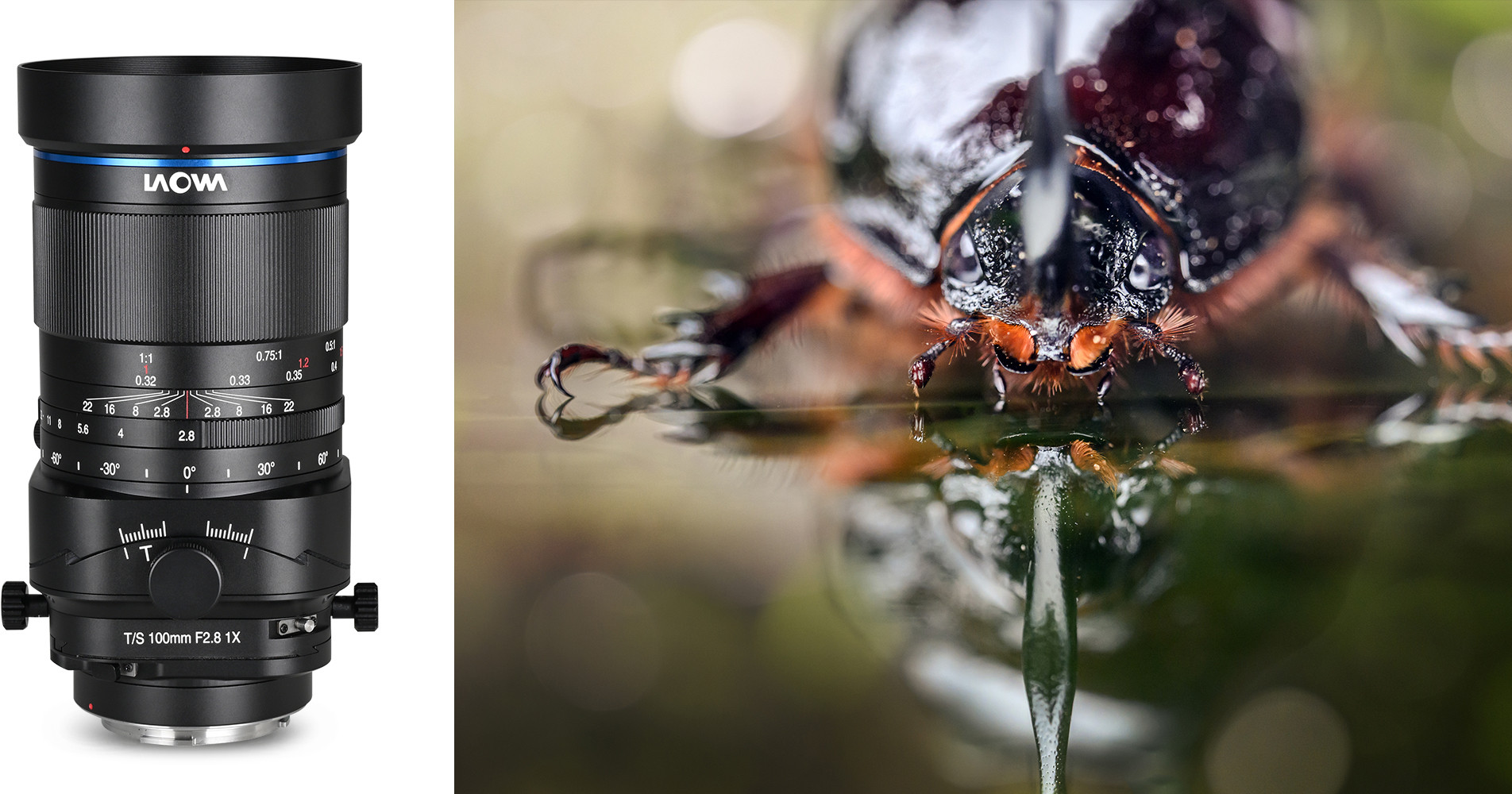 Obiektyw Laowa 100 mm f/2,8 Tilt-Shift 1x Macro do Nikon Z