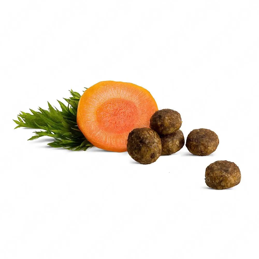 Lekkostrawna receptura z kaczką i marchewką