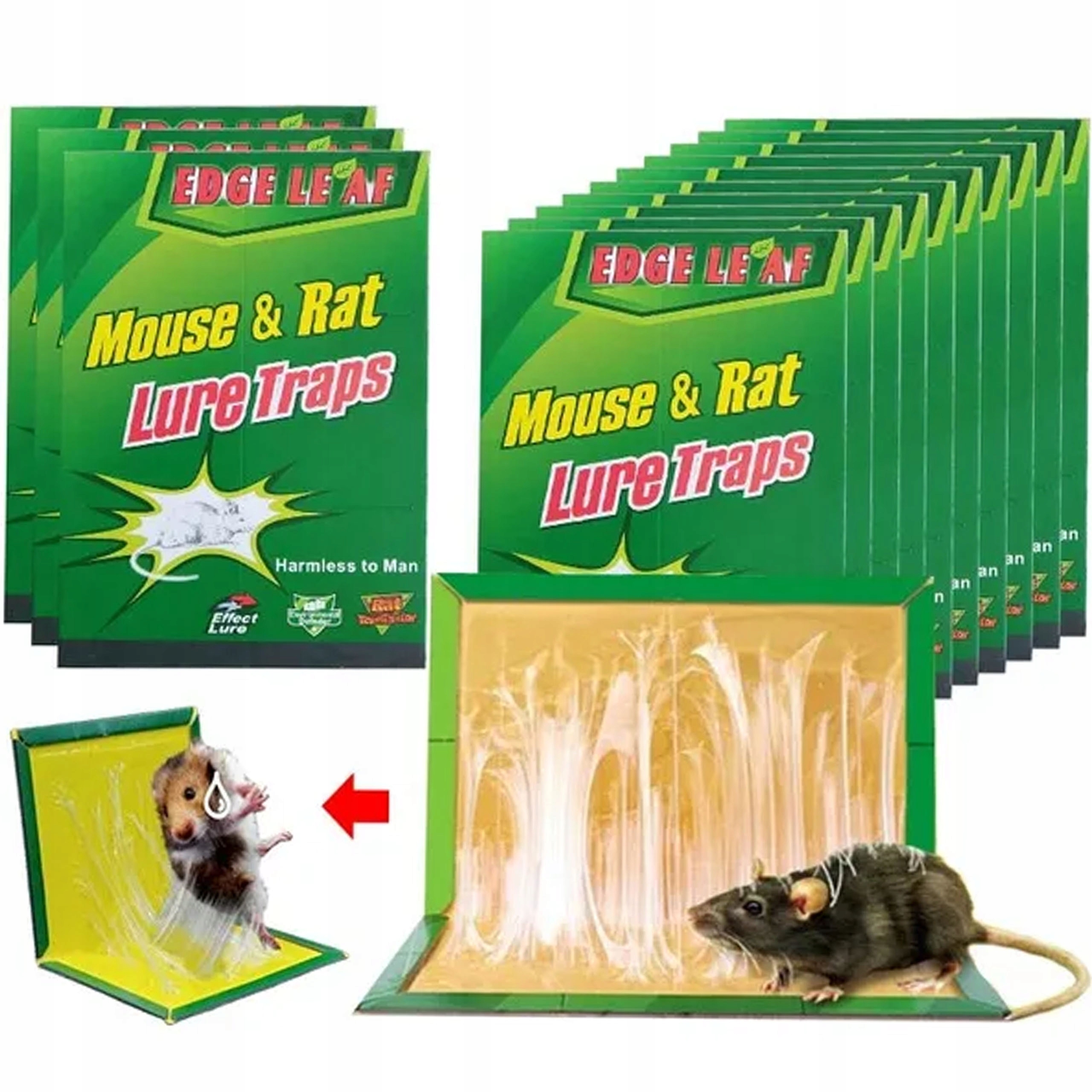 Łatwość użycia – Jak skutecznie zastawić pułapkę?