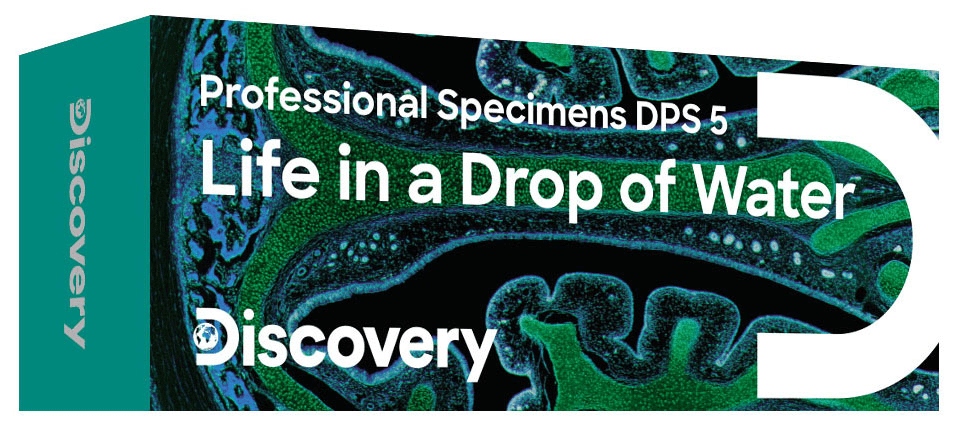 Zestaw mikropreparatów Discovery Prof DPS 5 – Życie w kropli wody