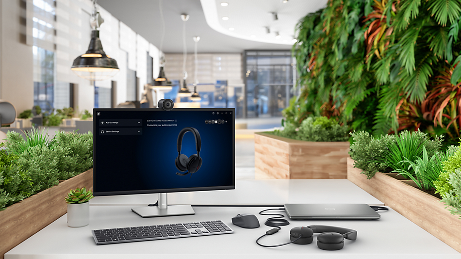 Personalizacja ustawień dźwięku z Dell Peripheral Manager