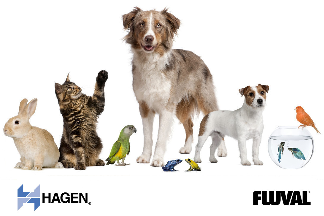 Korzyści z dokładnego pomiaru temperatury