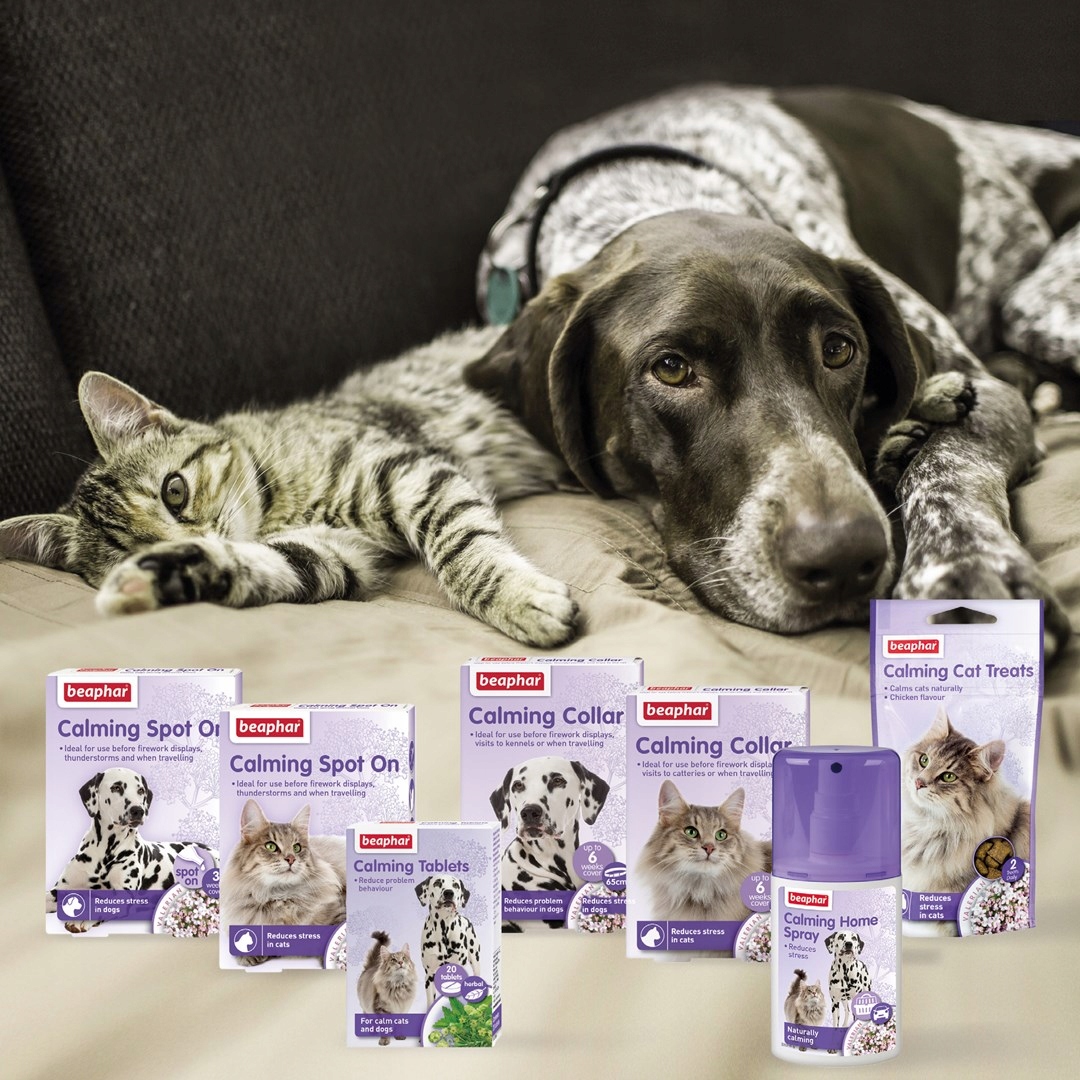 Pomoc w redukcji stresu podczas podróży i zmian w otoczeniu