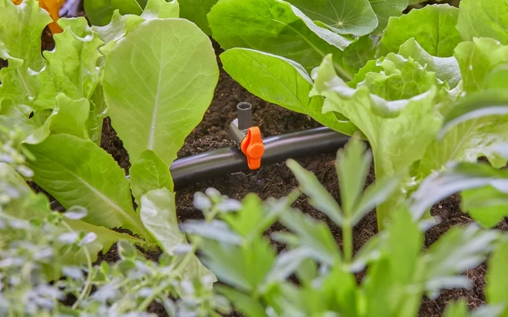 Wszechstronność zastosowania w ogrodzie