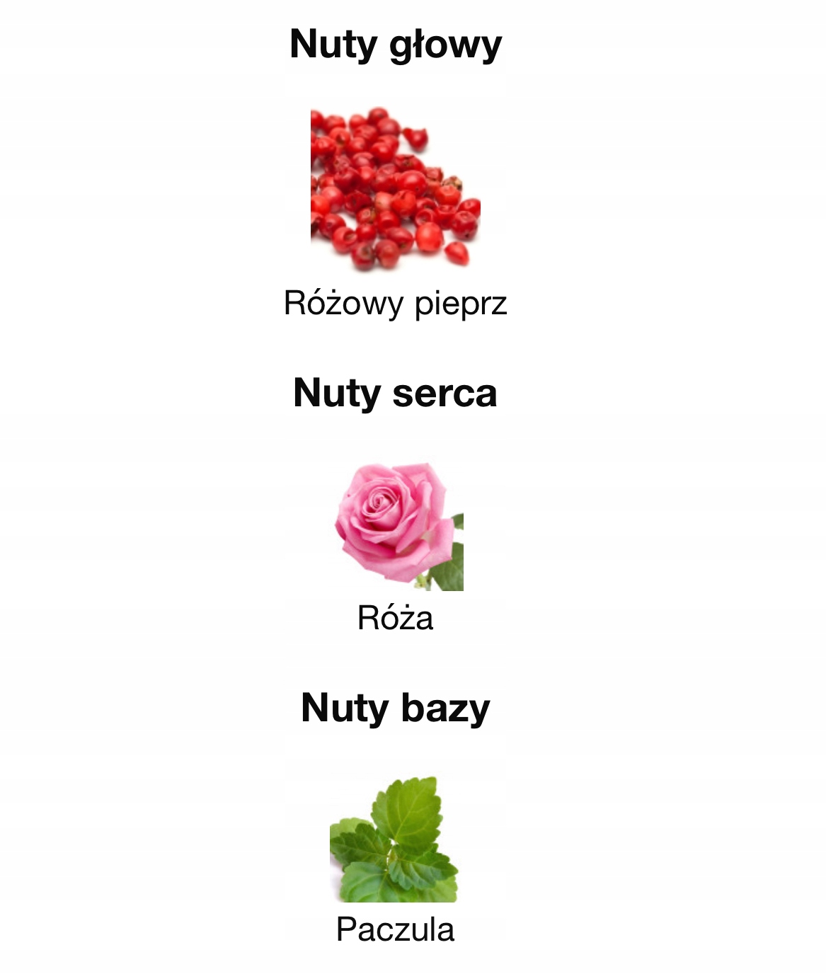 Kwiatowo-korzenny aromat z nutą imbiru i tuberozy