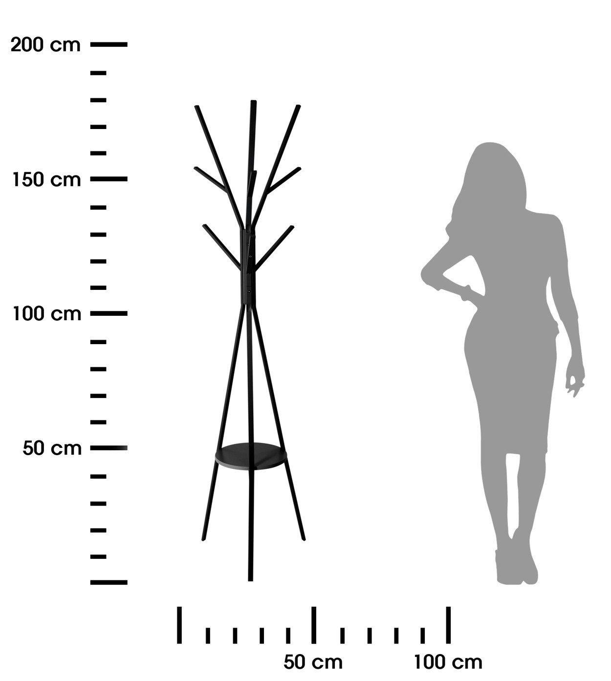 369856.jpg