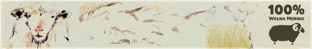 Wełna merino