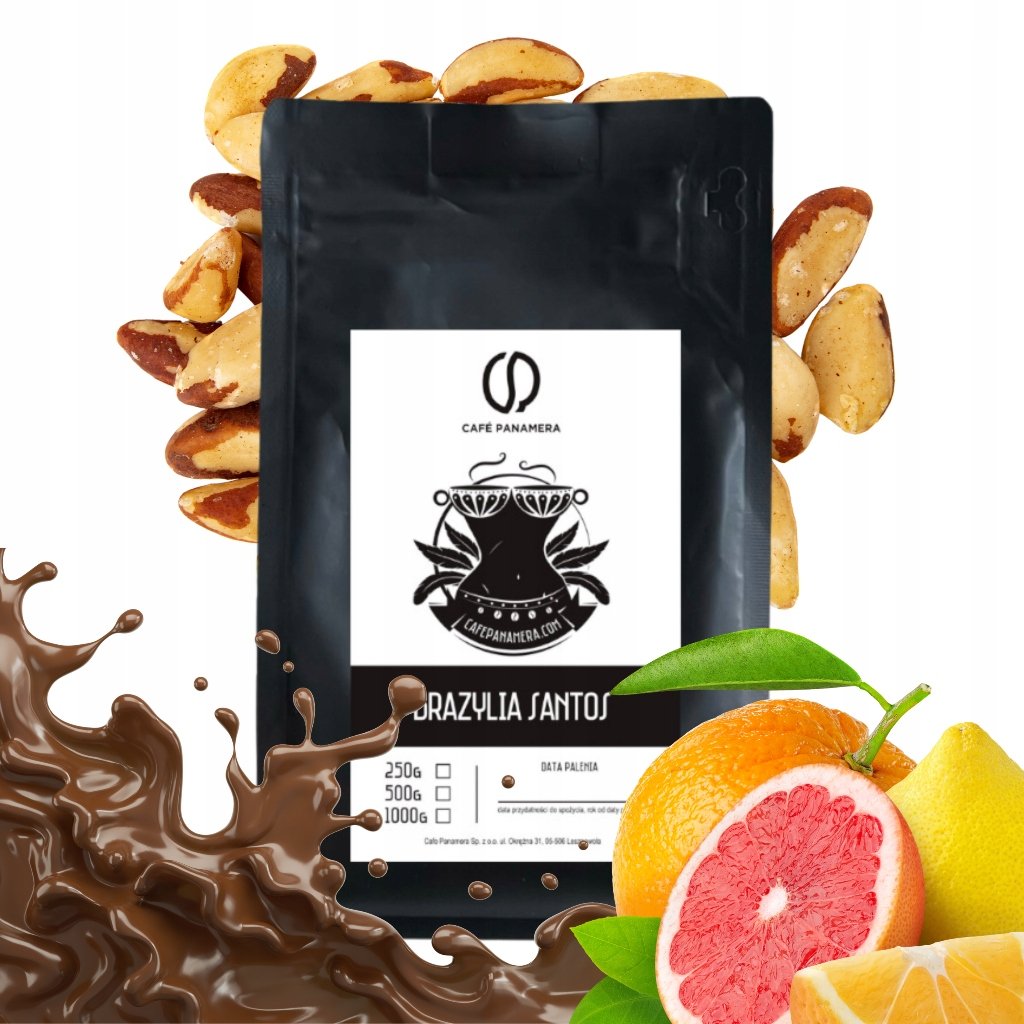 Kawa w jakości SPECIALITY – Rzemieślnicza palarnia CAFE PANAMERA