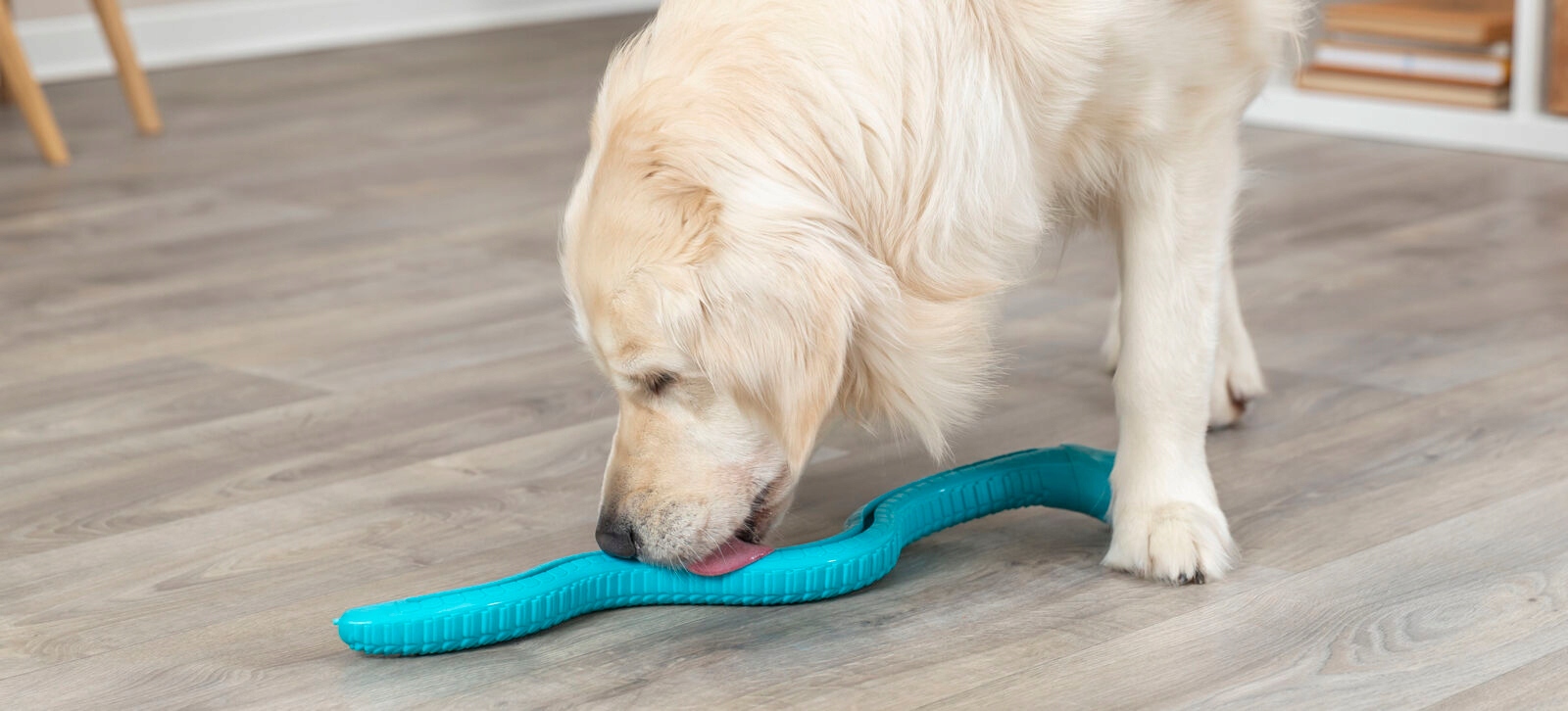 Konstrukcja masująca dziąsła – Wspiera zdrowie jamy ustnej psa