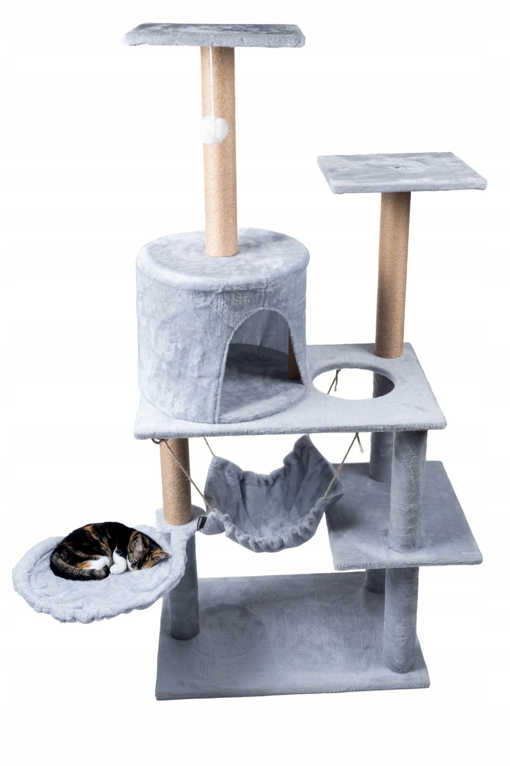 Wspinaczka i zabawa – naturalne potrzeby Twojego kota