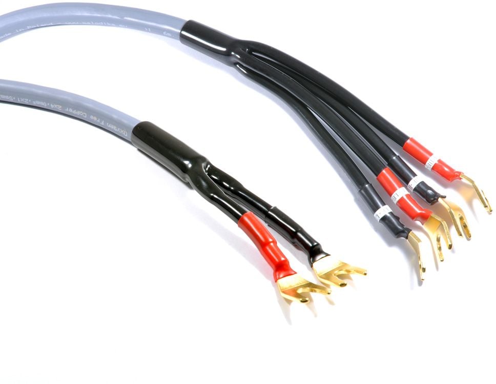Melodika-MDBW41520Gs