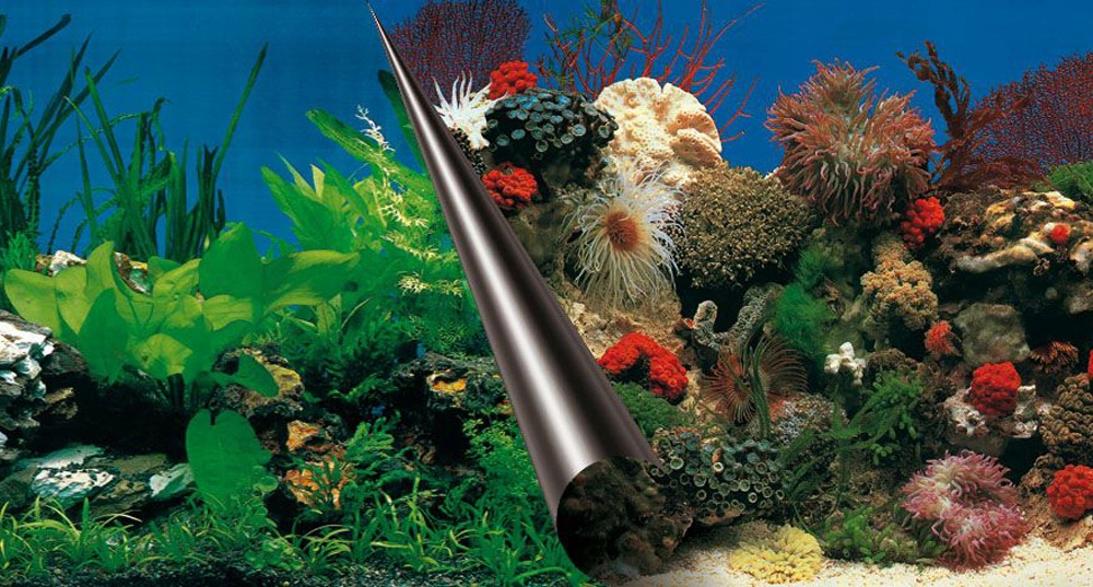 Tło do akwarium AquaDella - Skały/Rafa Koralowa 120x50 cm