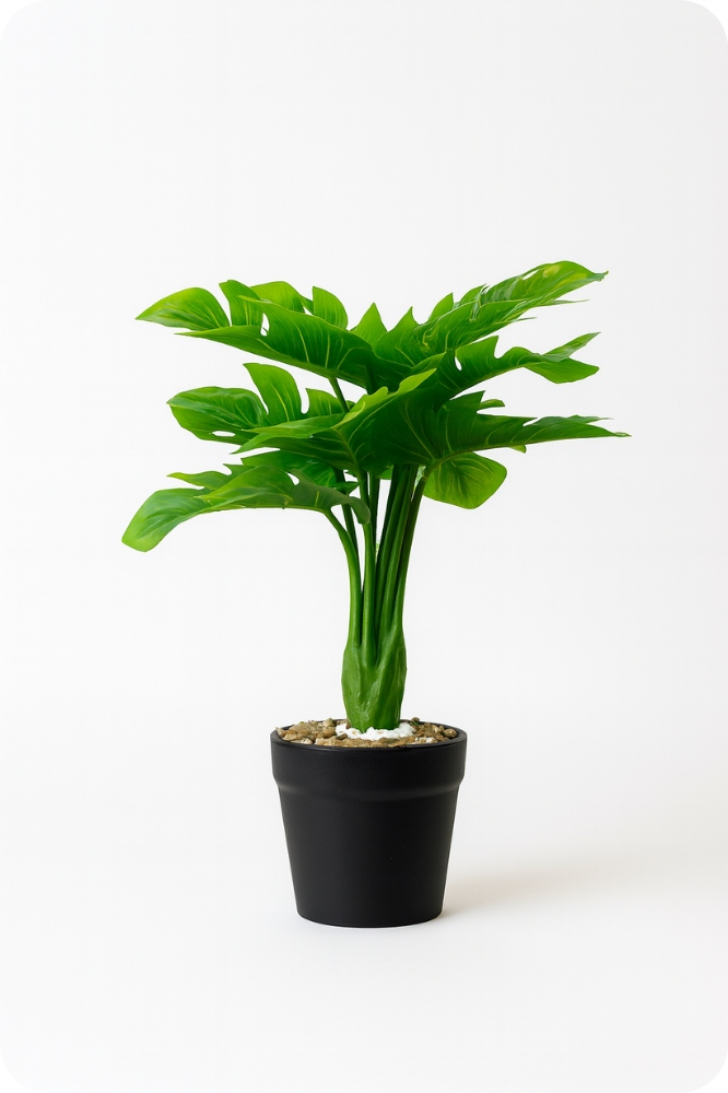 Wysoka jakość obrazu 4K i nagrywanie z dźwiękiem