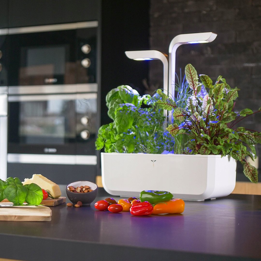 Veritable Véritable CLASSIC – Innowacyjny automat do uprawy roślin w Twoim domu
