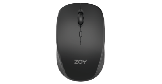ZOY