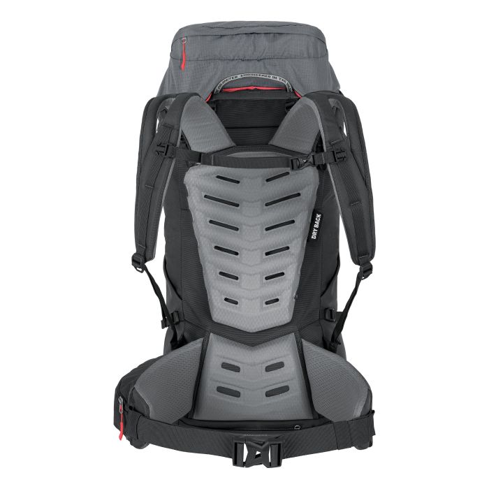 Regulowany system nośny Salewa Dry Back Custom
