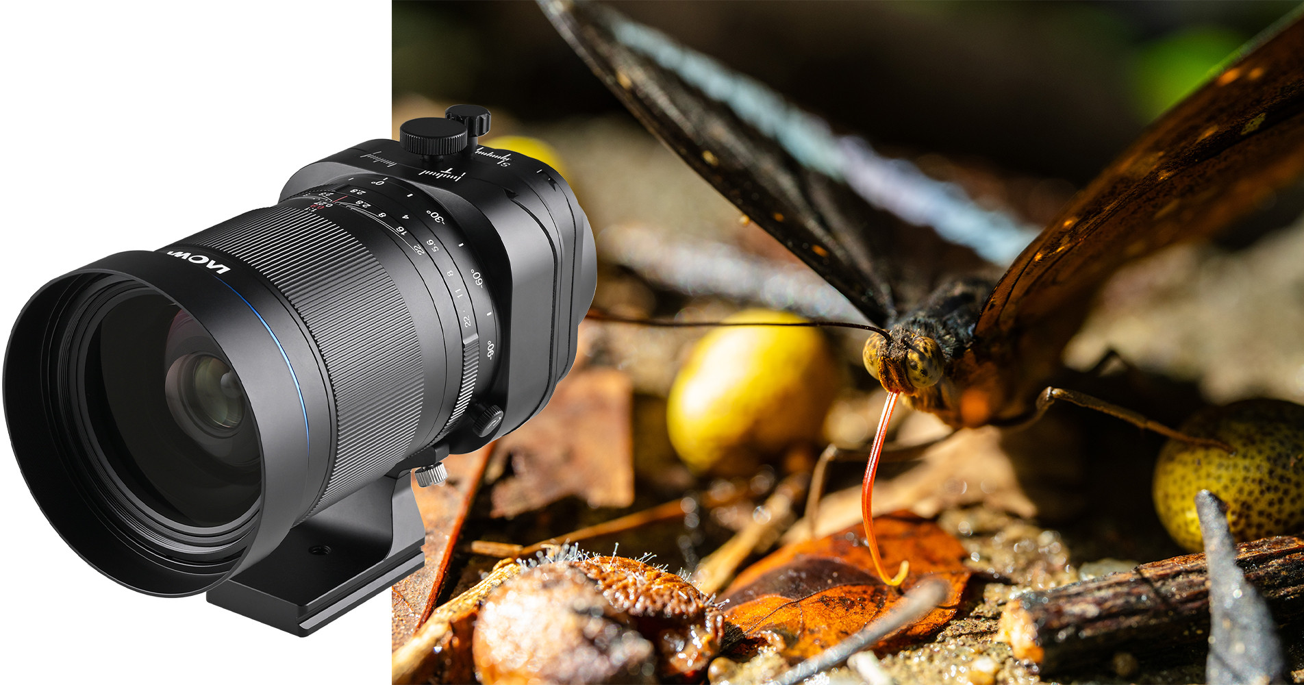 Obiektyw Laowa 55 mm f/2,8 Tilt-Shift 1x Macro do Canon RF