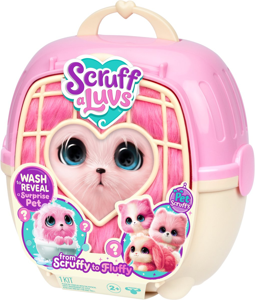 Zestaw akcesoriów do pielęgnacji i transportu