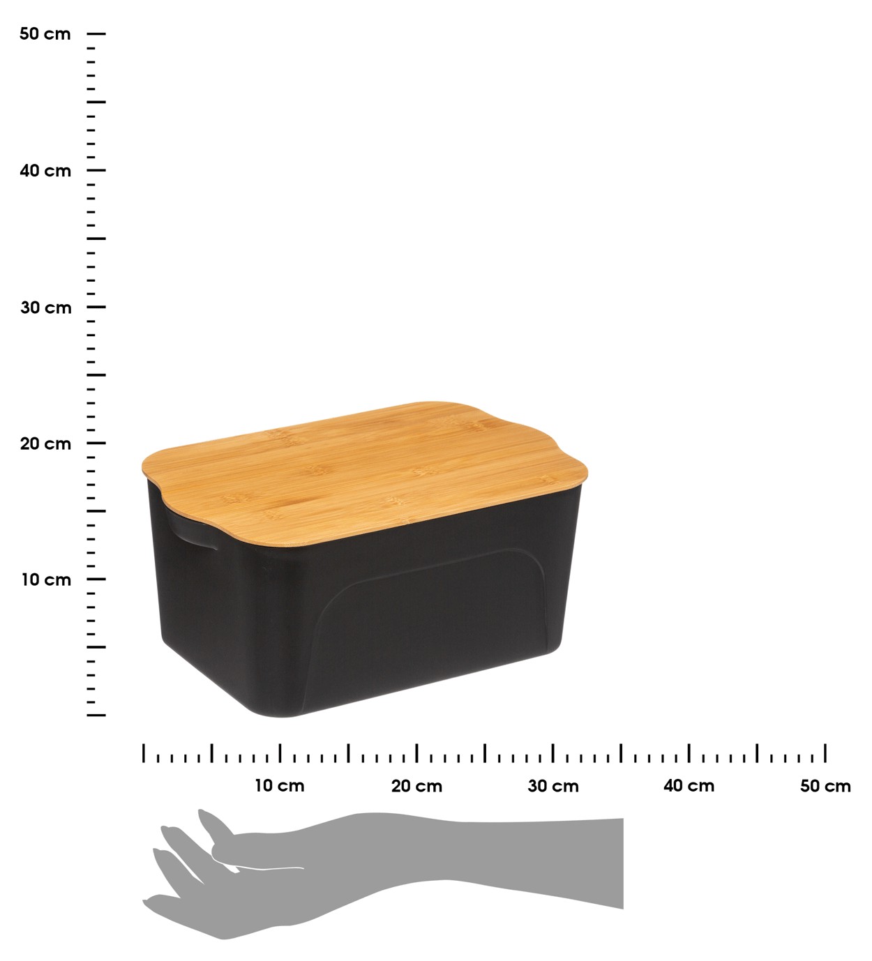 369993.jpg