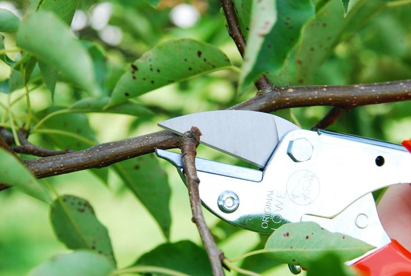 Sekator Lowe 5.127 w użyciu