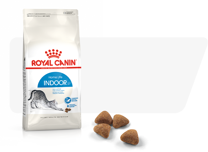 dry-food