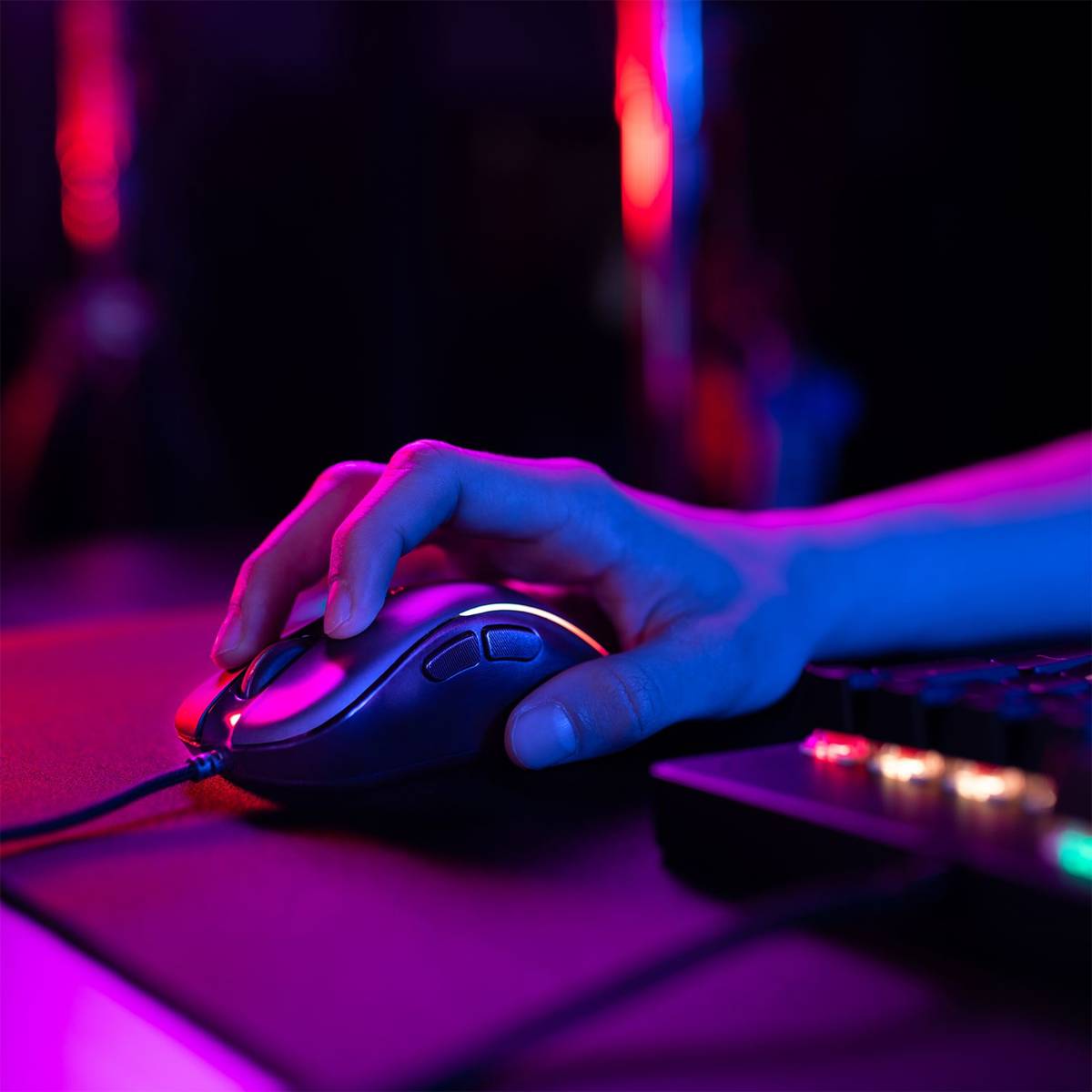 14022_10.jpg?48087