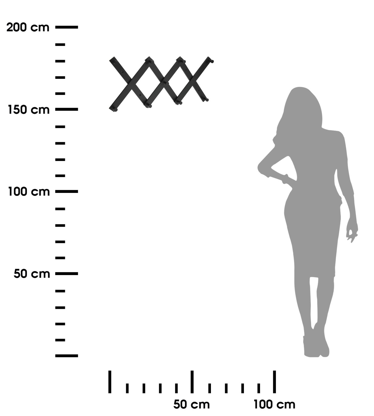 369576.jpg