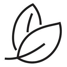 Manual Aspirator1