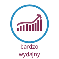 bardzo wydajny.png