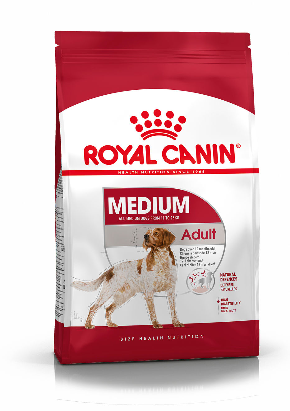 medium-adult