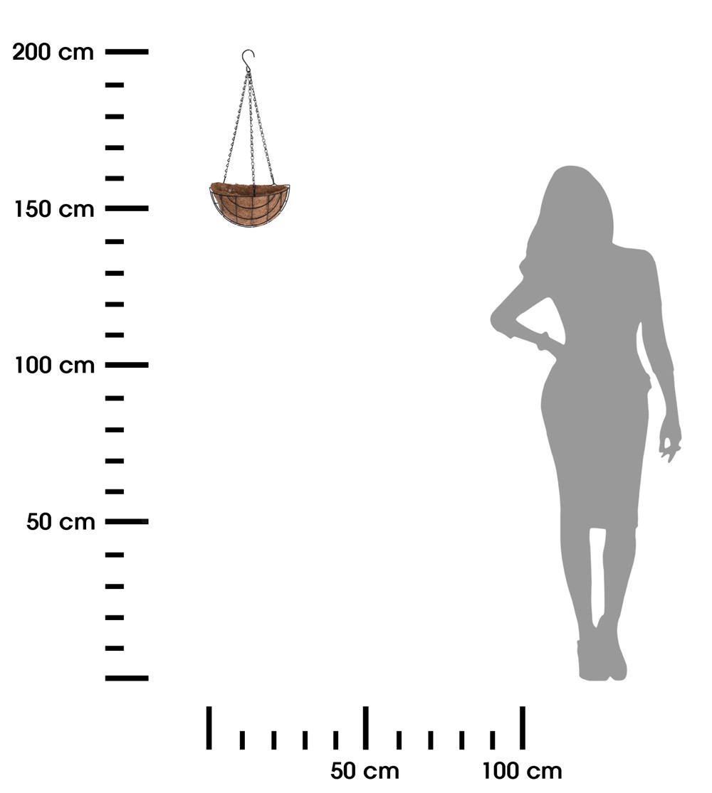 358650.jpg