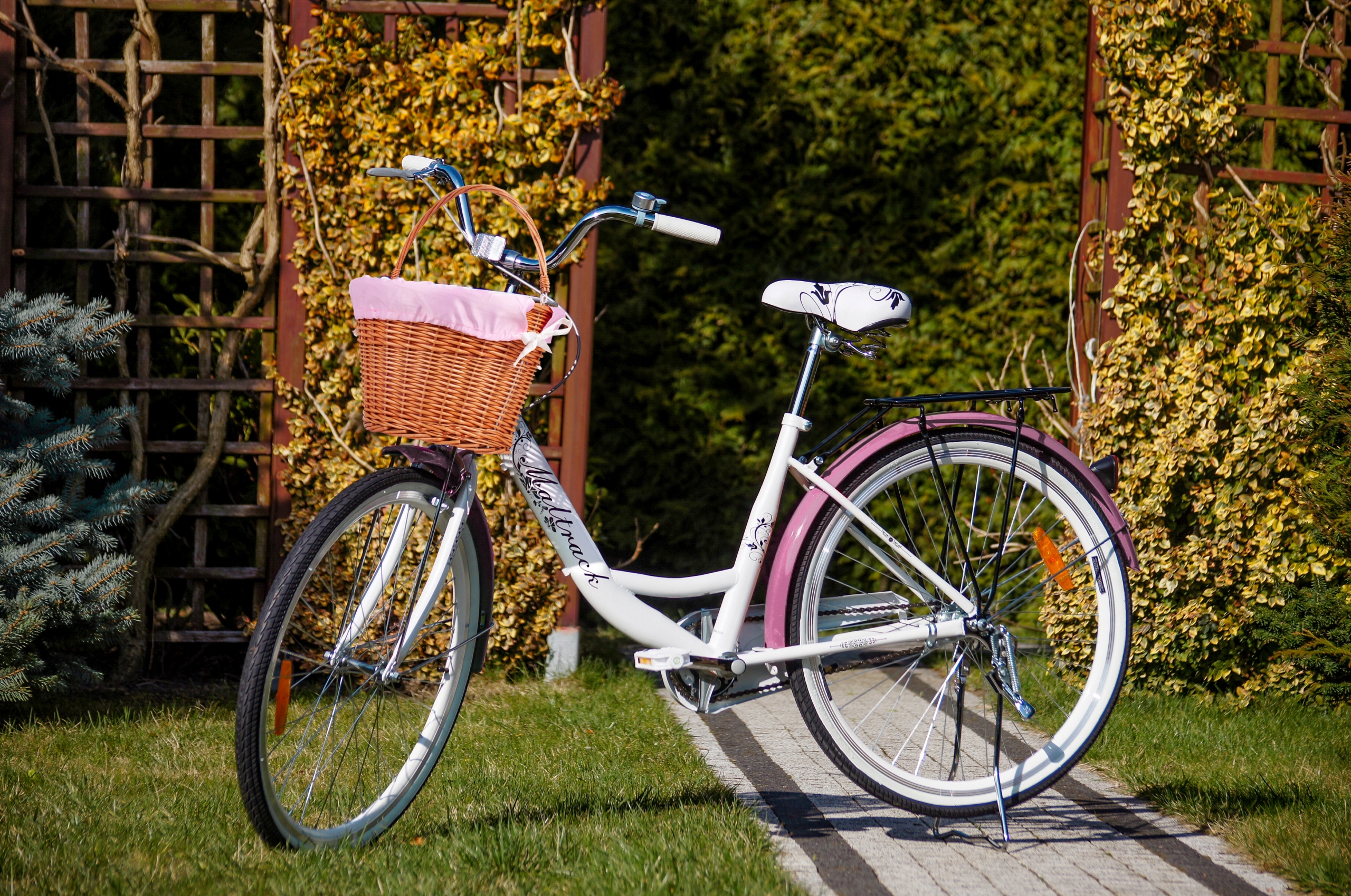 Wygodne siodełko i ergonomiczna konstrukcja