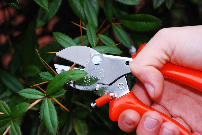 Sekator Lowe 5.105 w użyciu