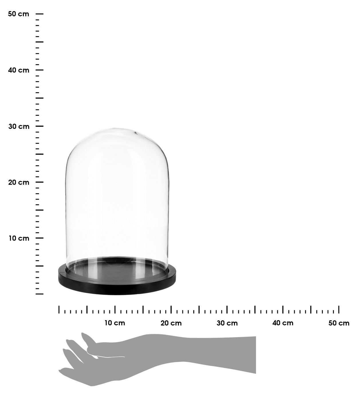368397.jpg
