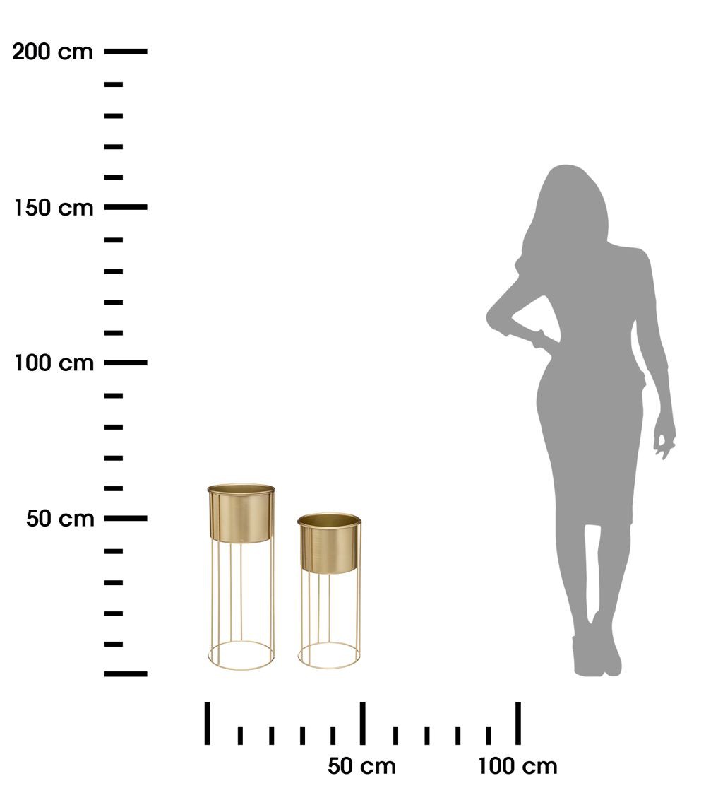 363464.jpg