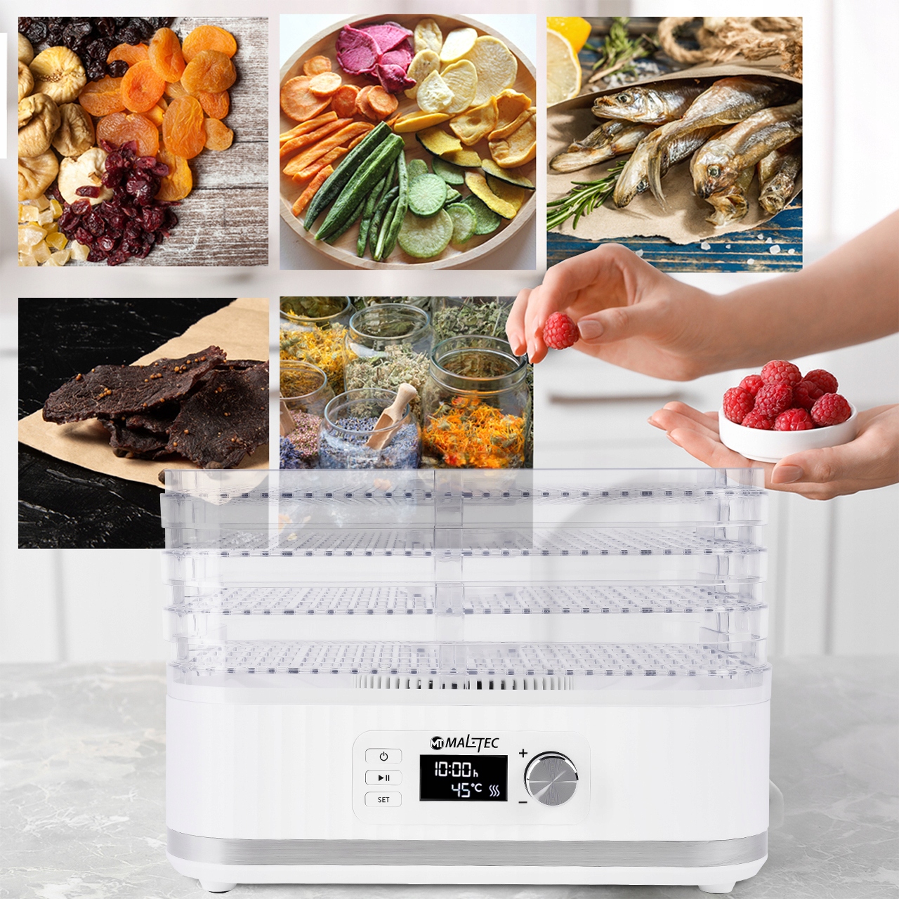 ef3383944d8e807f0dd49f344ab4