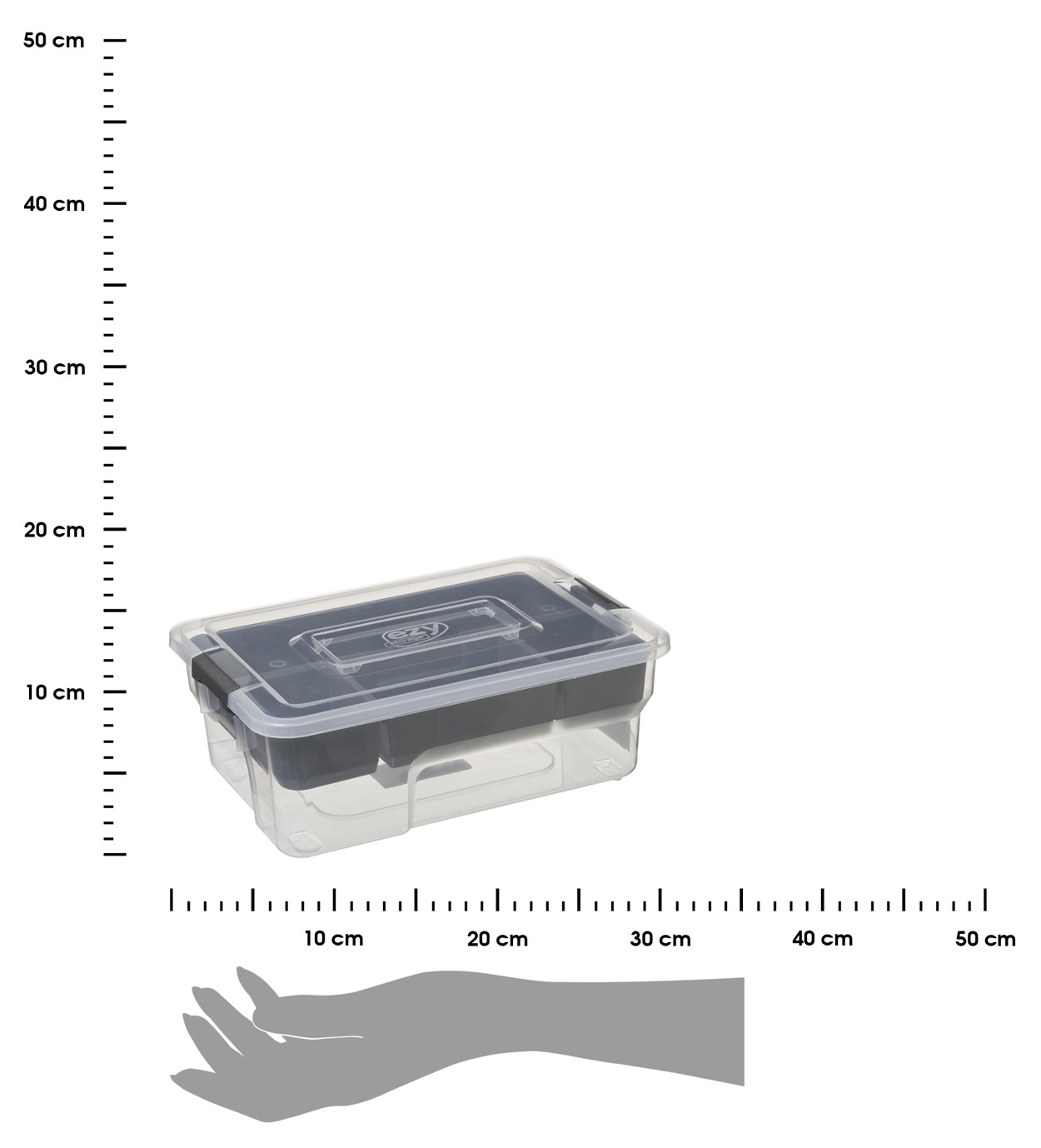 369907.jpg