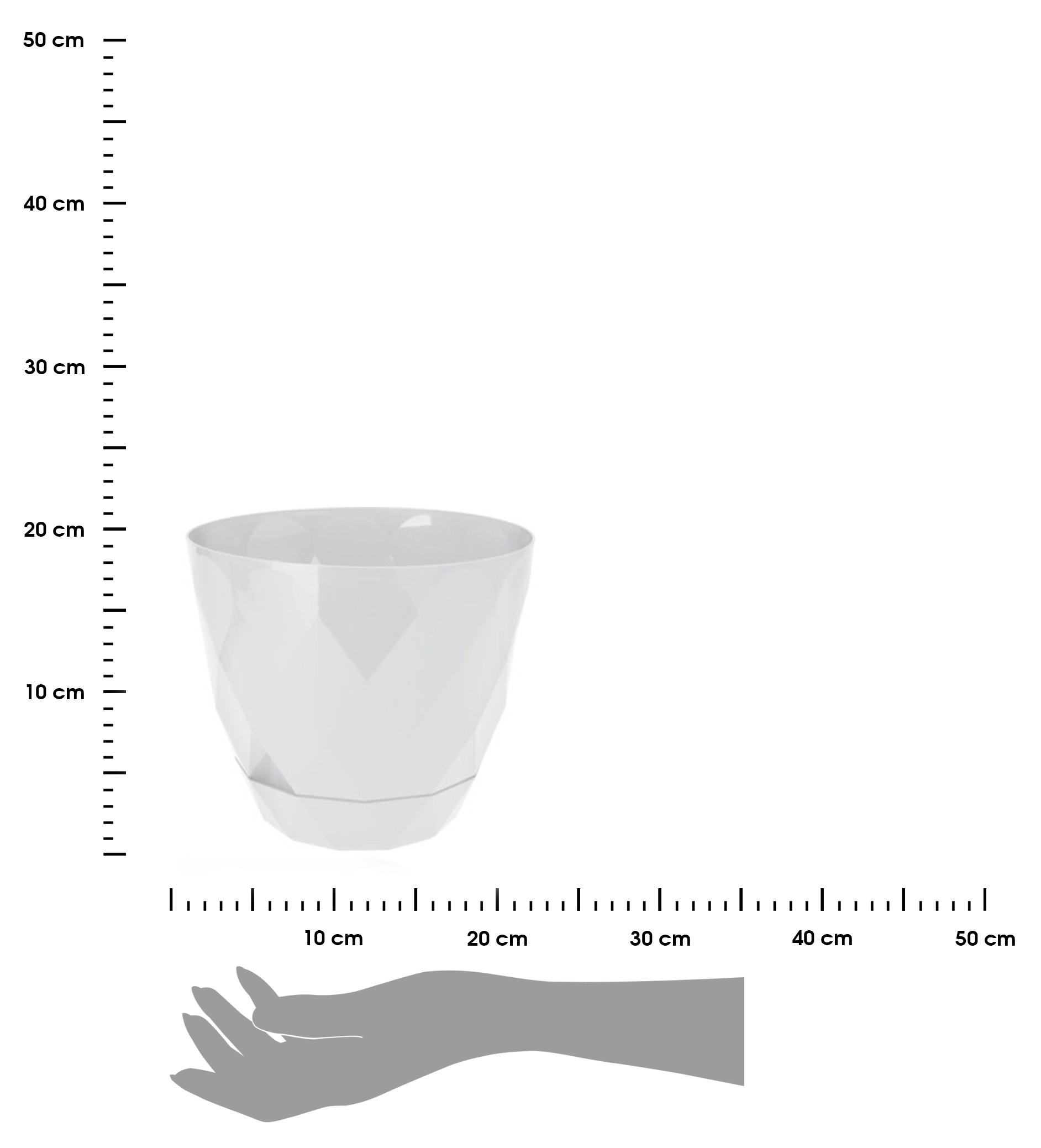 373902.jpg