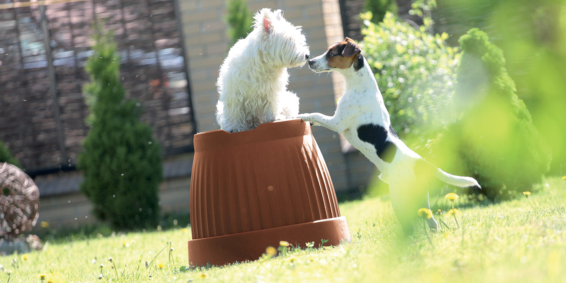 Donica Doniczka TERRA DCE13 Terakota + podstawka Marka Prosperplast