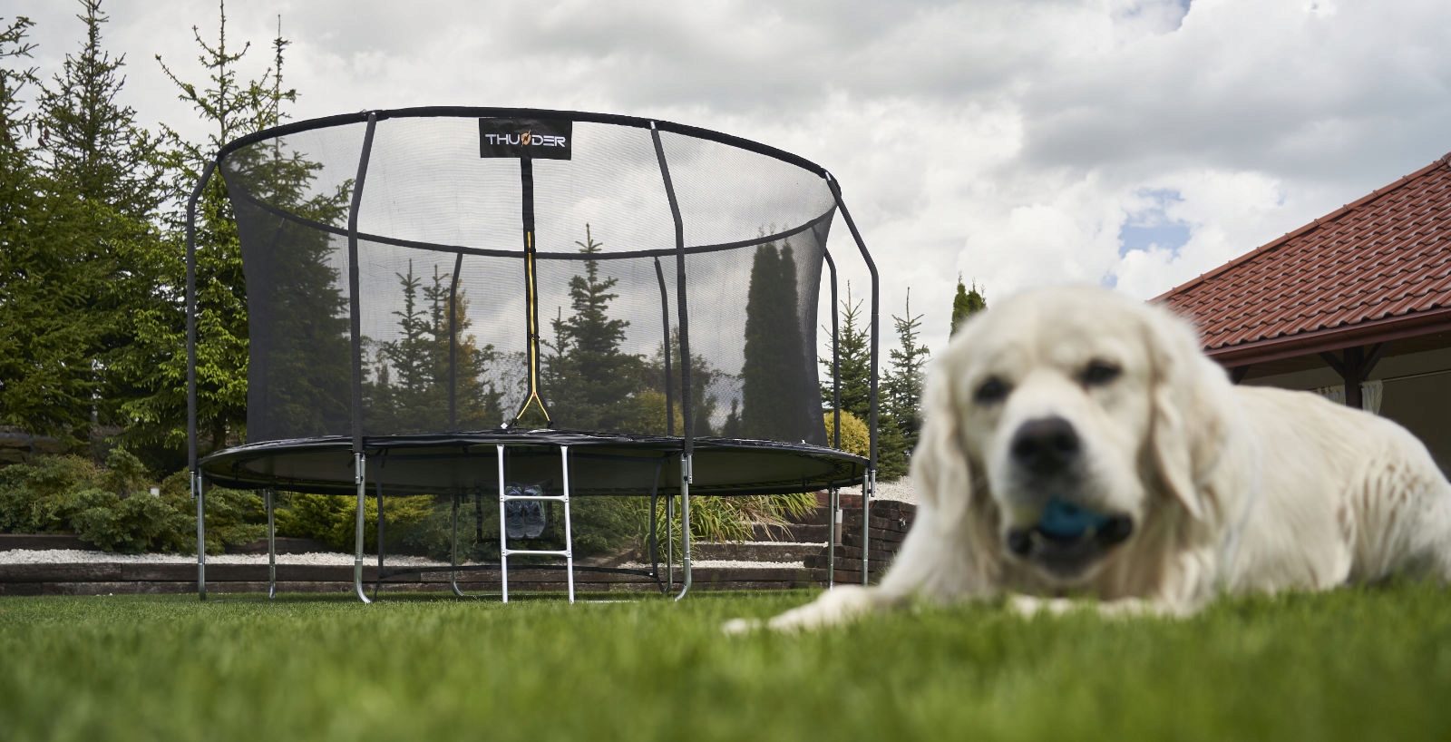 THUNDER Trampolina DOMOWA 8FT - 244cm DRABINKA PRO Kształt okrągły