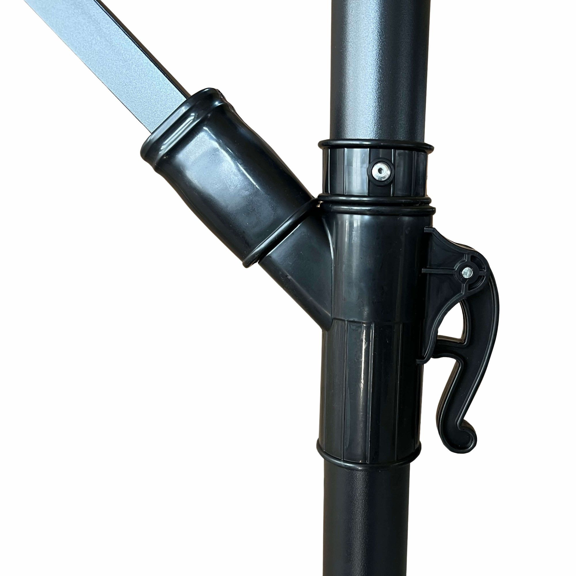 22557.jpg