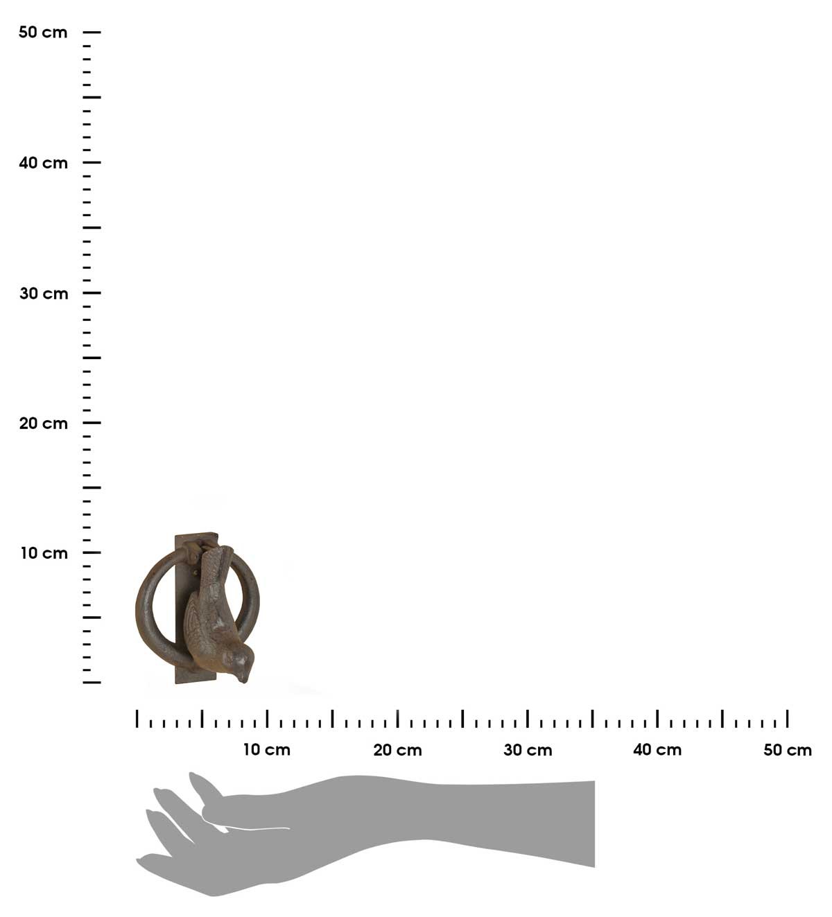 366962.jpg
