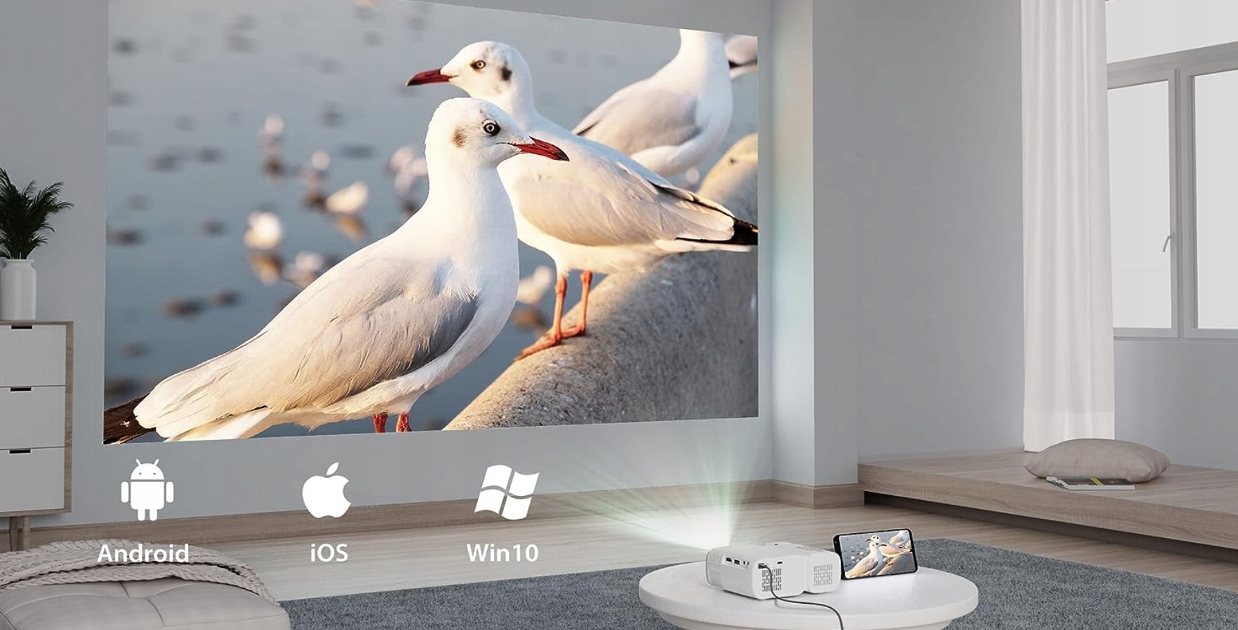 Bezprzewodowe połączenia WiFi i Bluetooth
