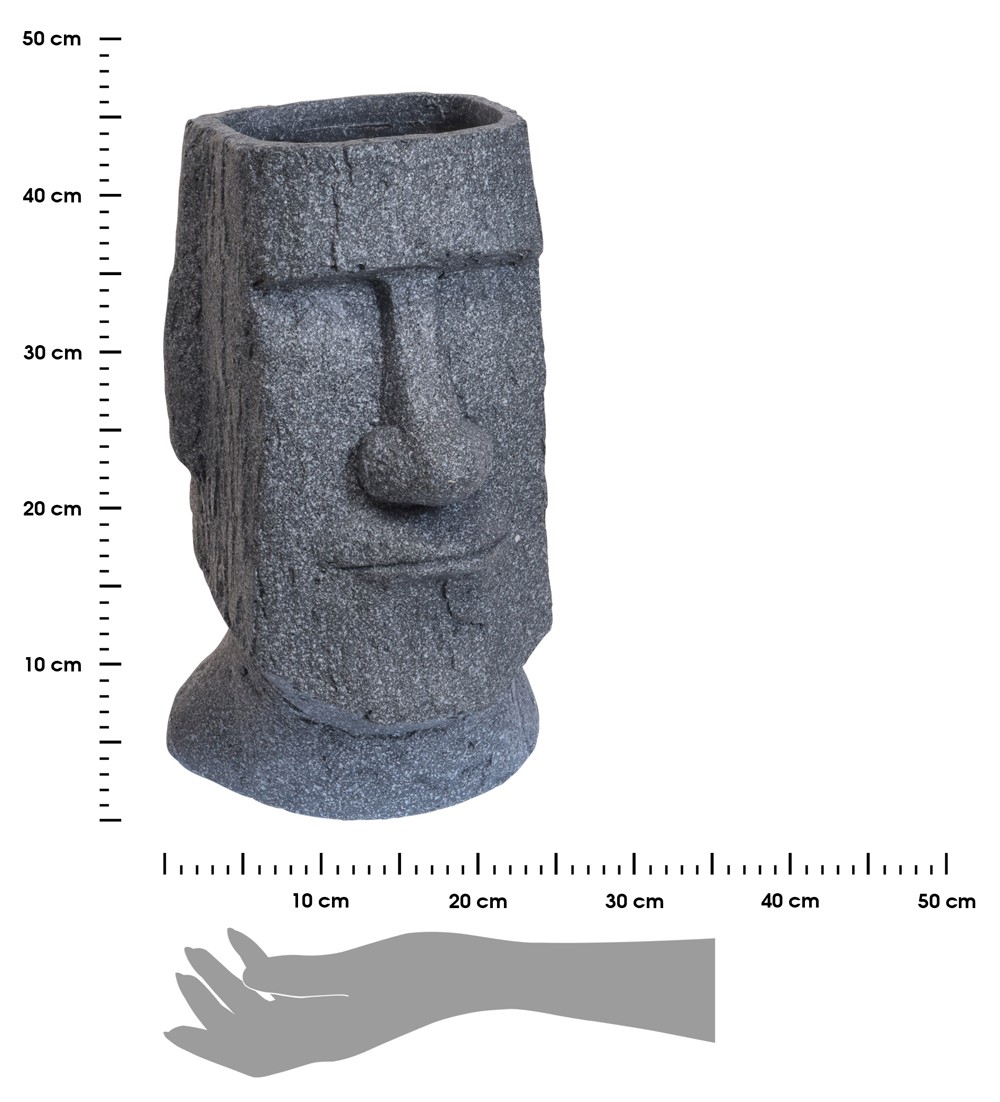 359905.jpg