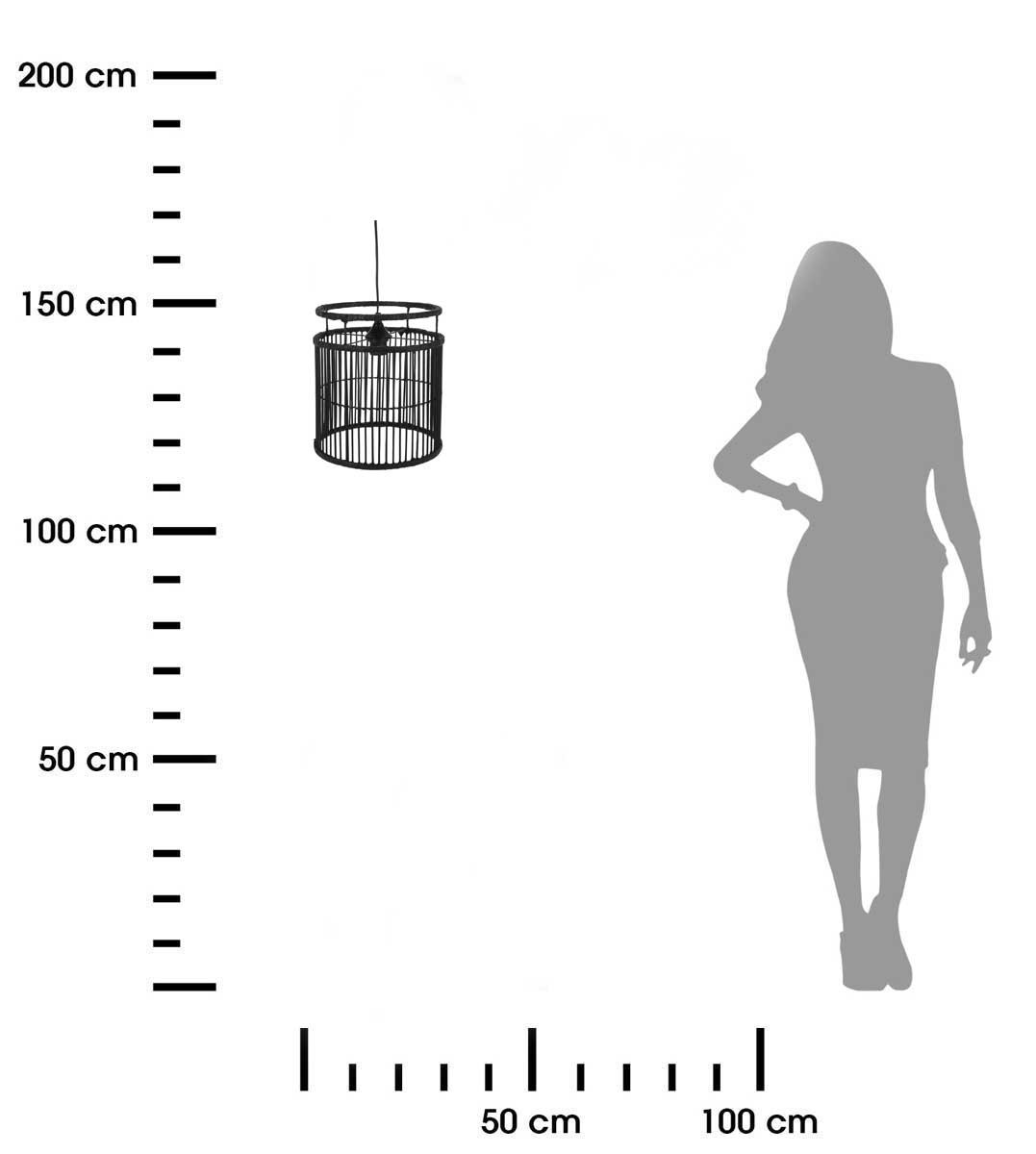 369684.jpg