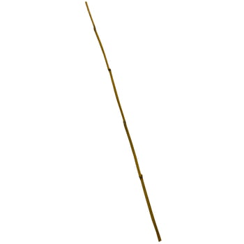 35996.jpg